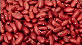 Premium Kidney Beans Form Dried beans Color Red / Dark red Storage Cool and dry place Packaging 25kg/50kg PP bags Application Food processing, retail packaging, canned food, wholesale distribution - BAIYE GENERAL TRADING PTY LTD - South Africa